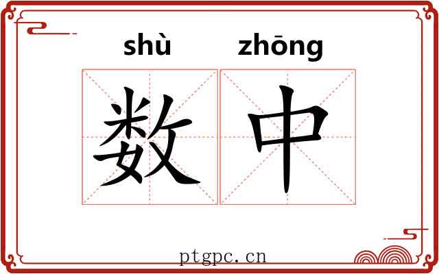 数中 数中
