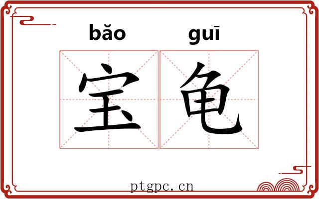 宝龟