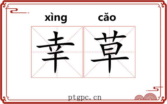 幸草 幸草