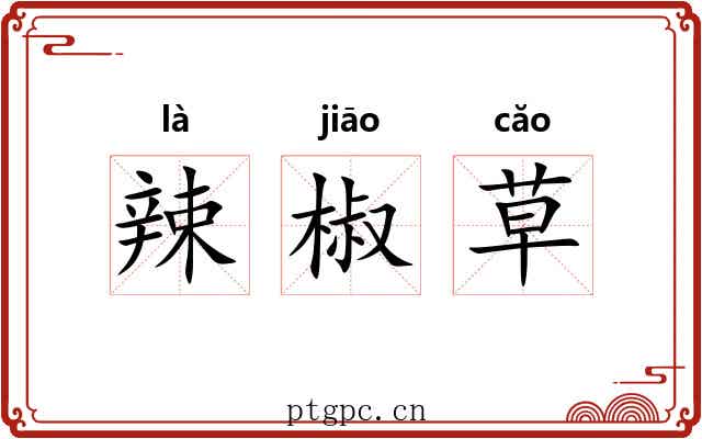 辣椒草 辣椒草