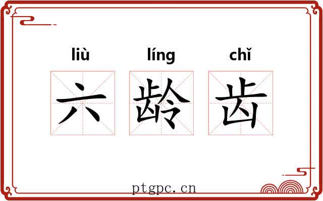 六龄齿