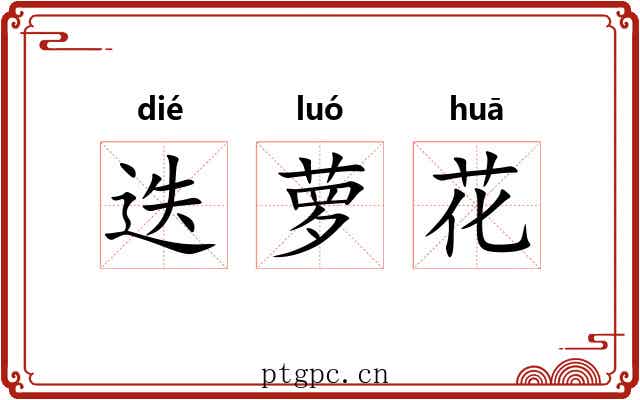 迭萝花