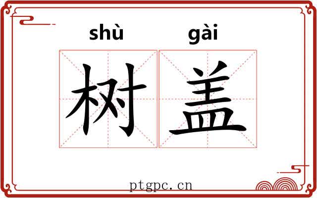 树盖 树盖