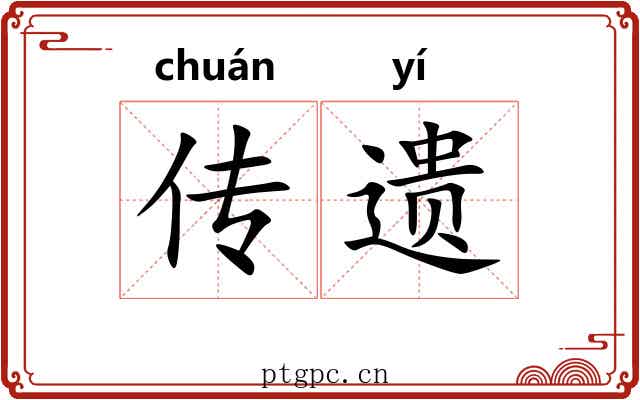 传遗