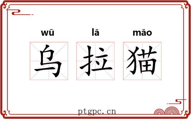 乌拉猫