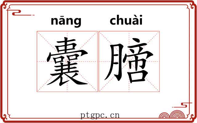 囊膪