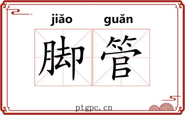 脚管
