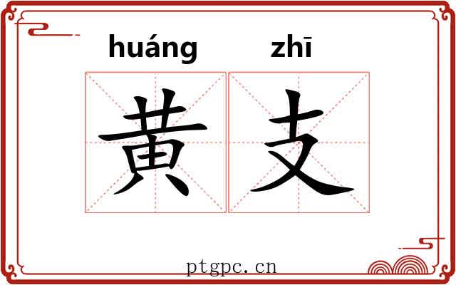 黄支