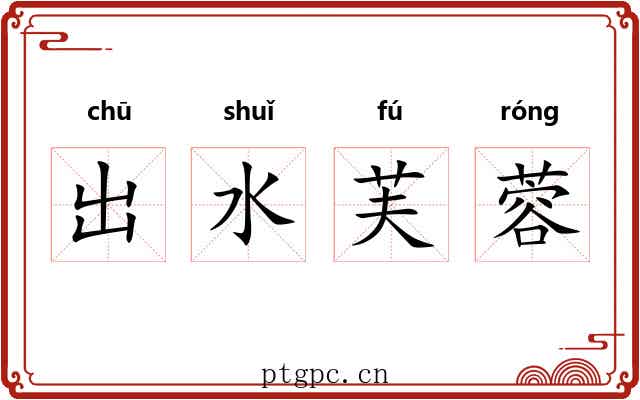 出水芙蓉 出水芙蓉