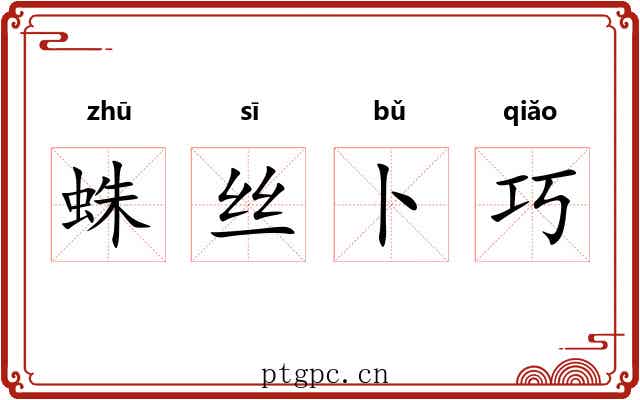 蛛丝卜巧 蛛丝卜巧