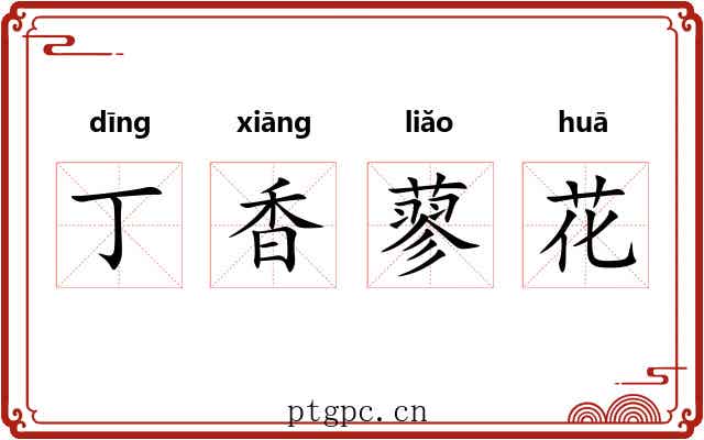 丁香蓼花