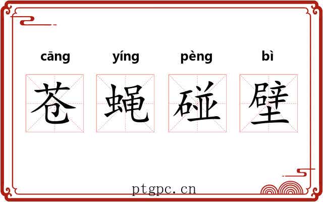 苍蝇碰壁 苍蝇碰壁