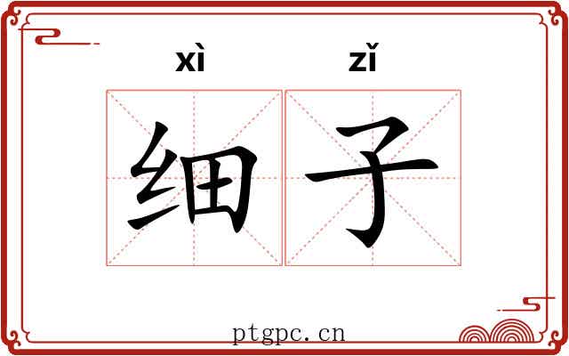 细子