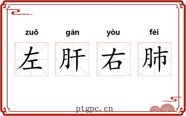 左肝右肺 左肝右肺