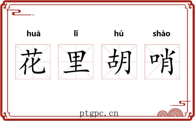 花里胡哨