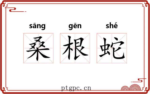 桑根蛇 桑根蛇