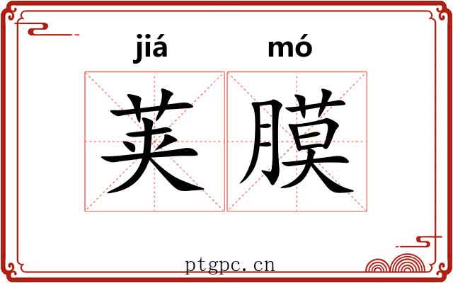 荚膜