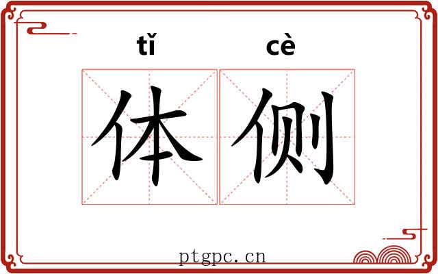 体侧