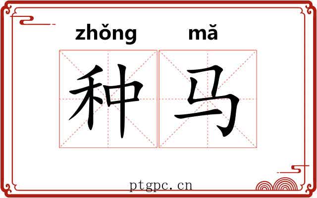 种马 种马