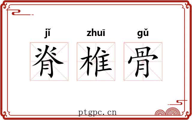 脊椎骨
