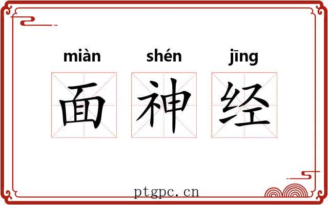 面神经