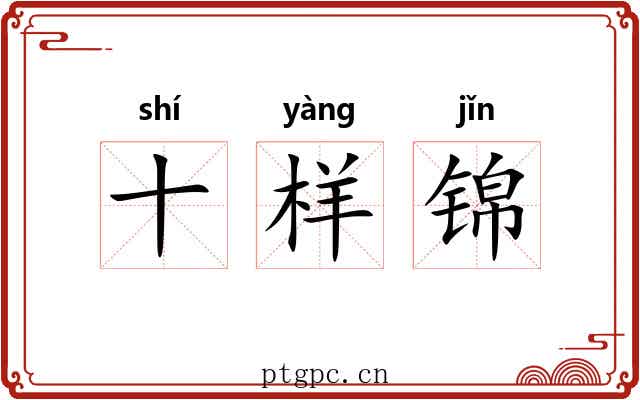 十样锦