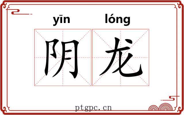阴龙