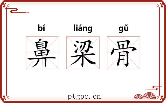 鼻梁骨