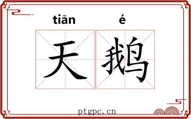 天鹅
