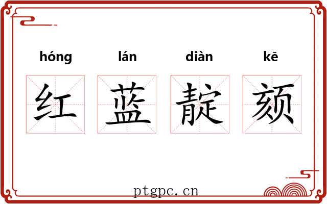红蓝靛颏