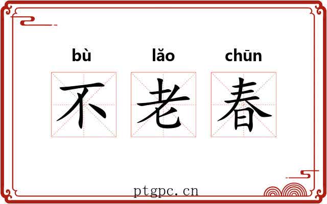 不老春 不老春