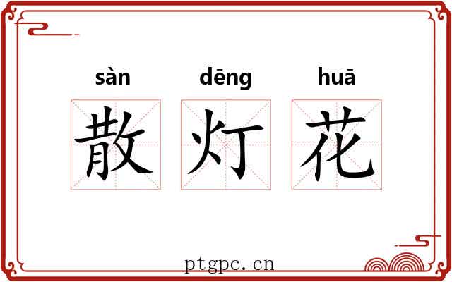 散灯花 散灯花