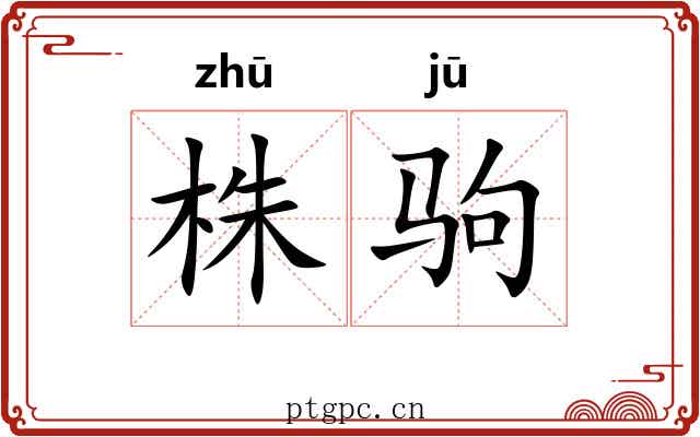 株驹