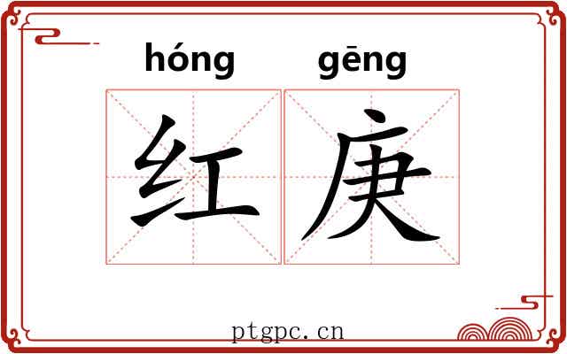 红庚 红庚
