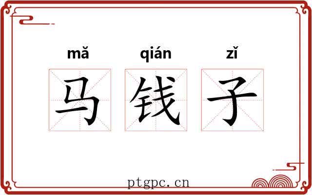 马钱子