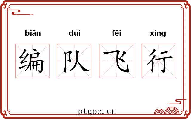 编队飞行 编队飞行