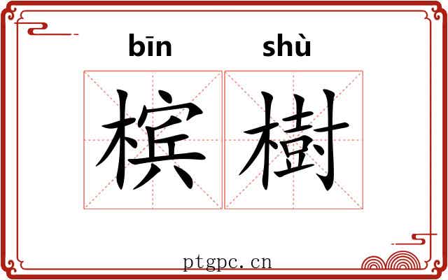 槟樹 槟樹