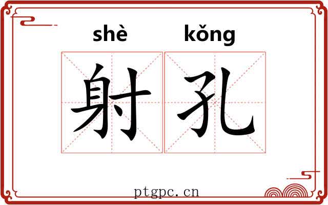射孔 射孔