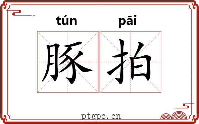 豚拍