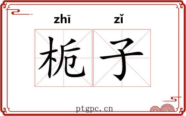 栀子