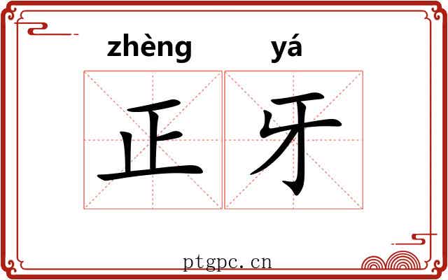 正牙 正牙