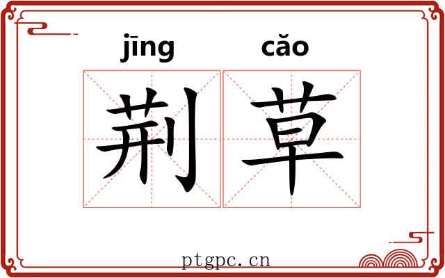 荆草 荆草