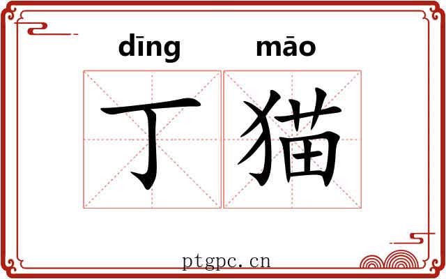 丁猫