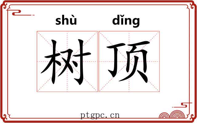 树顶