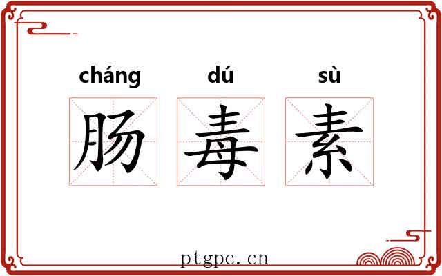 肠毒素 肠毒素