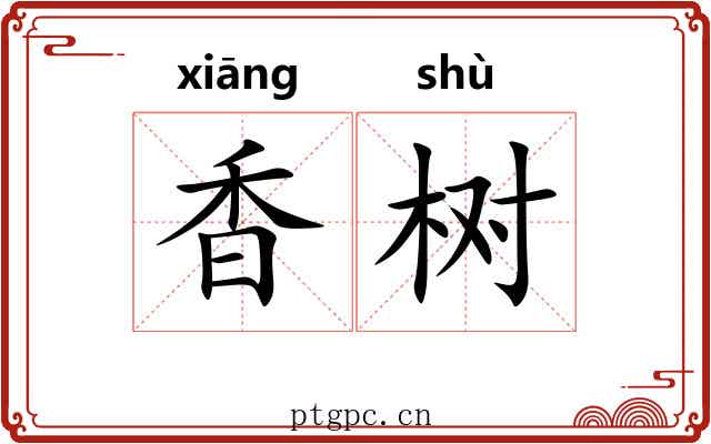 香树 香树