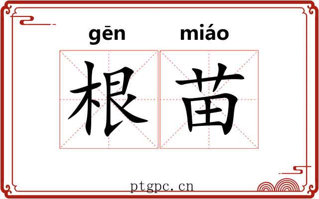 根苗
