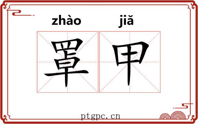 罩甲 罩甲