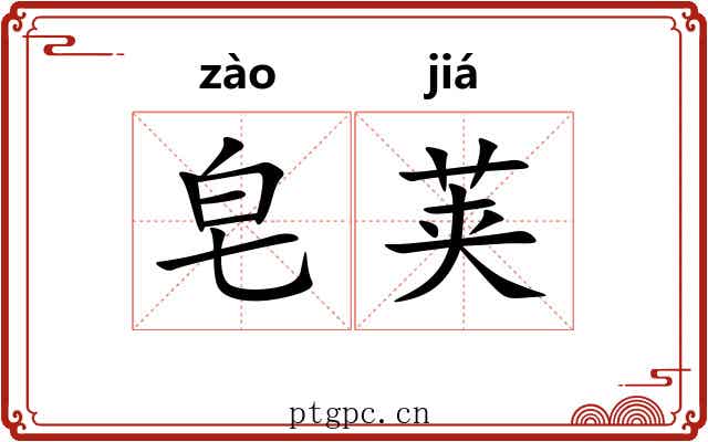 皂荚 皂荚
