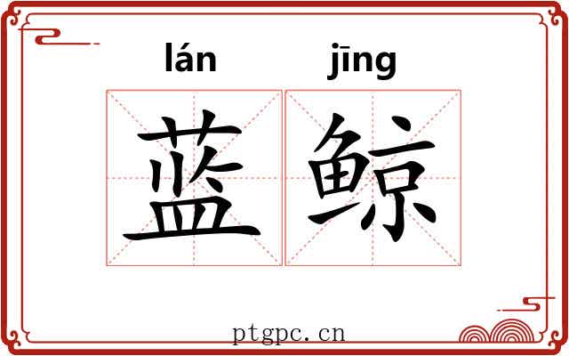 蓝鲸